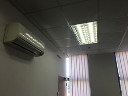 Tradehub 21 (D22), Factory #590462591